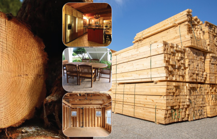Hard & Soft Wood